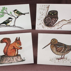 Greetings Cards - British Wildlife Drawings