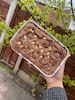 Choose 4 flavours! Fudgy brownies letterbox postal edible gift brownie or/and blondie selection boxes-Christmas gift ideas 