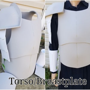 May include: A white foam torso and breastplate costume piece. The torso is a hollow, cylindrical shape with a rounded top and a flat bottom. The breastplate is a flat, rectangular piece with a raised design. The text "Torso/Breastplate" is printed below the costume pieces.