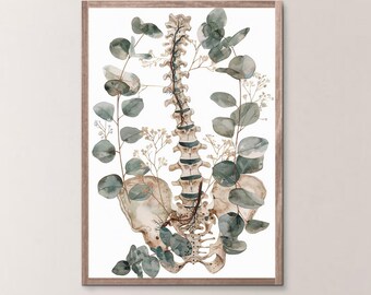 Botanical Spine Anatomy Print Digital Download | Human Spine Illustration | Chiropractic & Wellness Decor | Pelvic Anatomy Wall Art