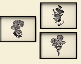 Könnte beinhalten: Drei gerahmte Schwarzweißillustrationen von Pilzen. Die obere Illustration zeigt eine Gruppe von Pilzen mit gekräuselten Kappen. Die mittlere Illustration zeigt eine Gruppe von Pilzen mit abgerundeten Kappen. Die untere Illustration zeigt eine Gruppe von Pilzen mit schirmartigen Kappen.