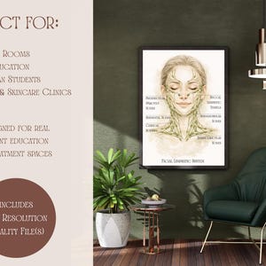 May include: A framed illustration of the facial lymphatic system, ideal for esthetician students and treatment rooms. The artwork features a detailed diagram of the lymphatic vessels on a woman's face. The text includes "Facial Lymphatic System".