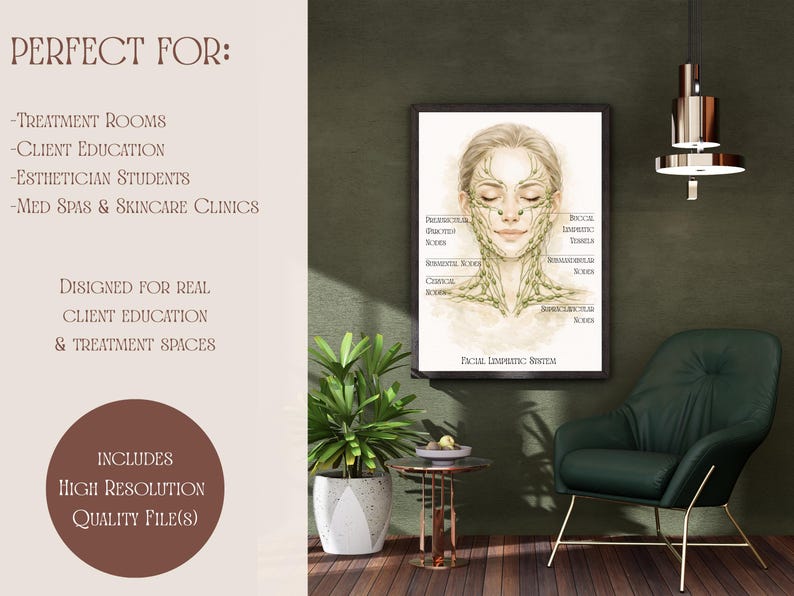 May include: A framed illustration of the facial lymphatic system, ideal for esthetician students and treatment rooms. The artwork features a detailed diagram of the lymphatic vessels on a woman's face. The text includes "Facial Lymphatic System".
