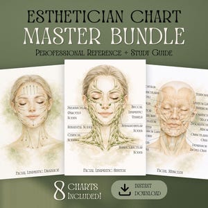 Pacchetto di schemi di anatomia facciale per estetiste / Drenaggio linfatico, muscoli, diagramma degli strati della pelle / Poster stampabile per estetiste