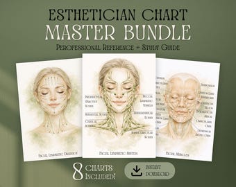 Facial Anatomy Chart Bundle for Estheticians | Lymphatic Drainage, Muscles, Skin Layers Diagram | Esthetician Poster Printable