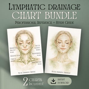 Pacchetto stampabile sul drenaggio linfatico del viso, schemi anatomici dei linfonodi, guida di studio per estetiste, massaggio facciale, poster sulla cura olistica della pelle