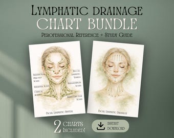Facial Lymphatic Drainage Printable Bundle, Lymph Nodes Anatomy Charts, Esthetician Study Guide, Facial Massage, Holistic Skin Care Posters