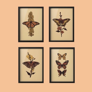 Set of 4 Digital Download Butterfly Prints, Nature Decor, Butterfly Wall Art, Printable Botanical Prints, 3:4 Digital Download Prints