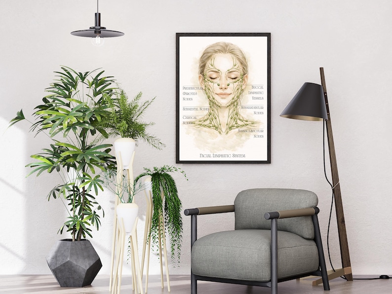 May include: A framed print of a watercolor illustration of a woman's face with labeled diagrams of the facial lymphatic system. The print is in a black frame and hangs on a white wall. The room also features a gray armchair, plants, and a floor lamp.