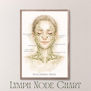 Op de afbeelding: Een ingelijste aquarelprint van een vrouwengezicht met een diagram van het gezichtslymfestelsel. De illustratie toont groene lijnen en knooppunten, met tekstlabels. De woorden "Facial Lymphatic System" en "Lymph Node Chart" zijn ook zichtbaar.