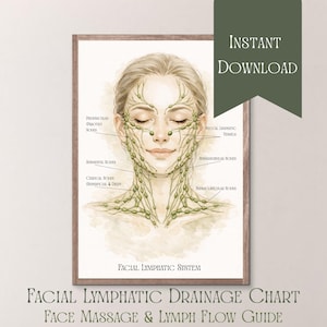 Facial Lymphatic Drainage Chart Printable, Face Lymph Nodes Anatomy, Esthetician Study Guide, Med Spa Decor, Holistic Skin Care Poster