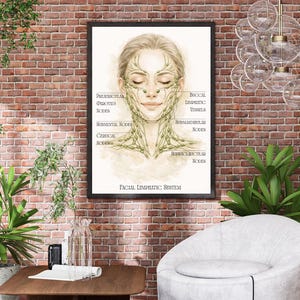 May include: A framed print of a watercolor illustration depicting the facial lymphatic system. The artwork features a woman's face with labeled diagrams of lymphatic nodes and vessels. The text "FACIAL LYMPHATIC SYSTEM" is at the bottom.