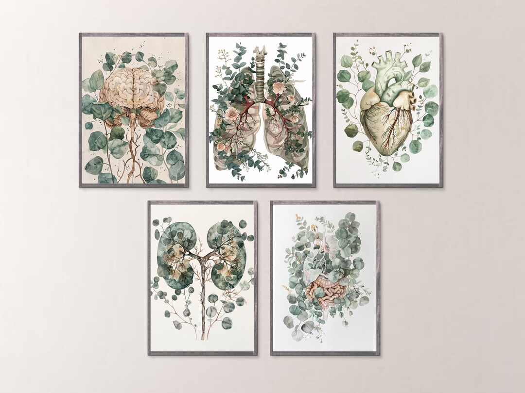 Human Anatomy Print Set Digital Download | Brain Heart Lung Kidney Gut ...