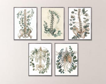 Spine Print Bundle Digital Download | Human Vertebrae Art | Botanical Medical Art | Human Skeleton Prints | Wellness Decor | Chiropractor