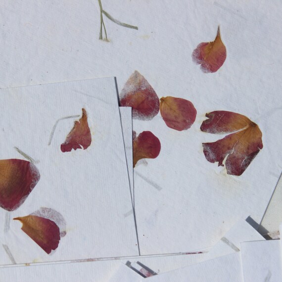 Visual Arts Approx 16 X 23 Cm 6 25 X 8 5 Inches 6 Small Keshula Indian Sunn Hemp Yellow Handmade Paper Plant Dyed 100 Gsm Artists Paper Calligraphy