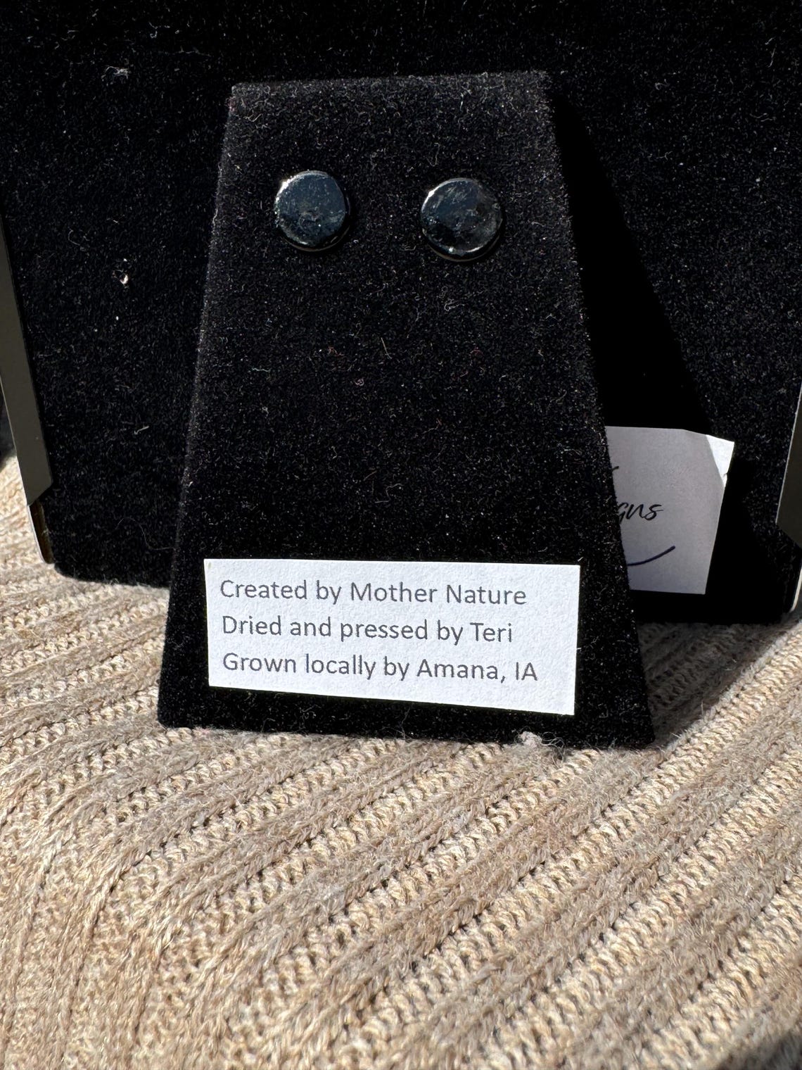 Dried and Pressed Flowers in Picture Frames, Set of 3, Yellow Roses Etsy