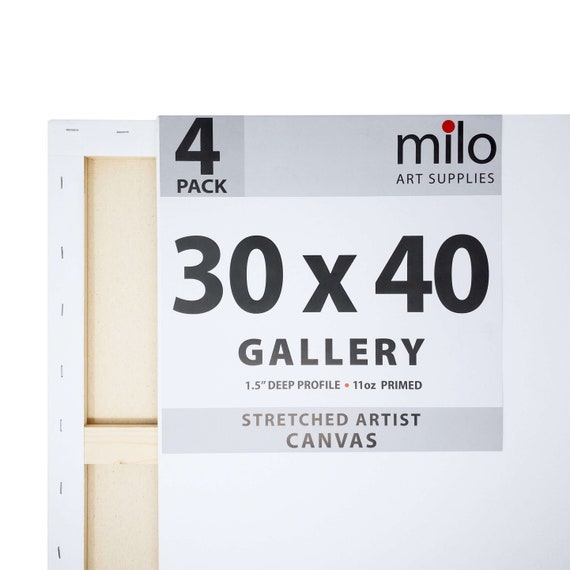 MILO  8 x 10 Pre Stretched Artist Canvas Value Pack of 10