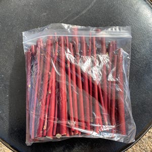 Red Twig Dogwood Cuttings (Red Osier) Flowering Perennial Hardy Fast Growing image 5