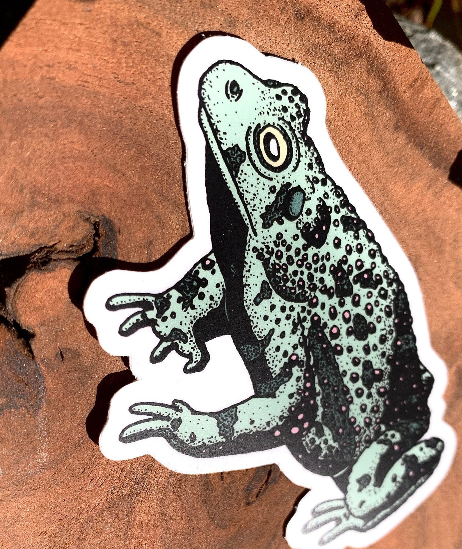 Vinyl Frog Sticker Vinyl Toad Sticker Green Amphibian Etsy