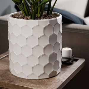 Puede incluir: Una maceta de cerámica blanca con un patrón hexagonal, llena de una planta verde. La maceta está sentada sobre una mesa de madera.