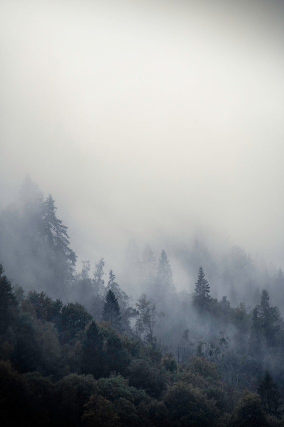 Morning Foggy Forest Wall Art Norwegian Nature Foggy Forest Etsy Morning Foggy Forest Wall Art Norwegian Nature Foggy Forest Etsy