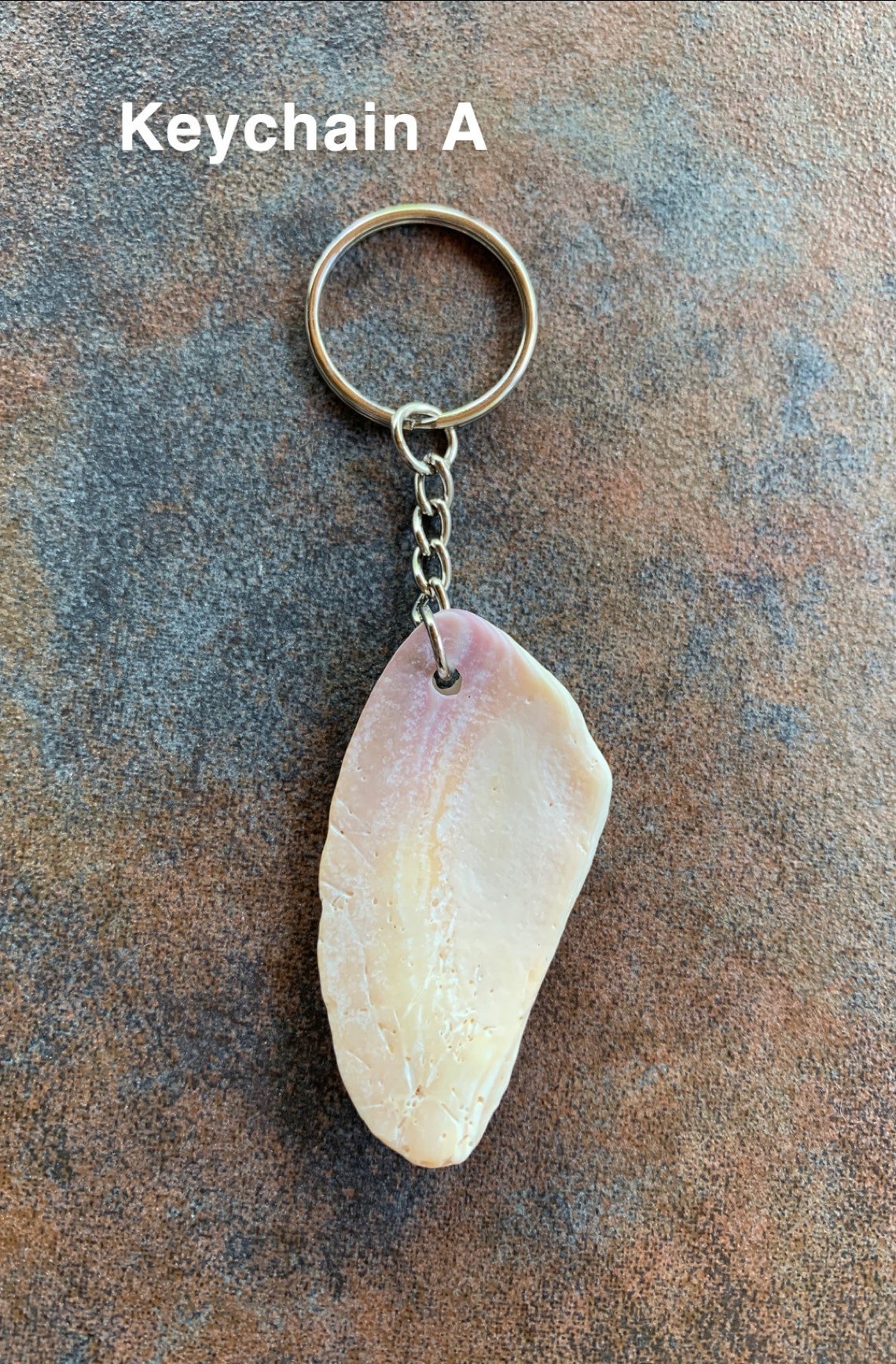Seashell Keychains Etsy
