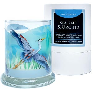 Sea Salt and Orchid Soy Candle (Coastal Collection)