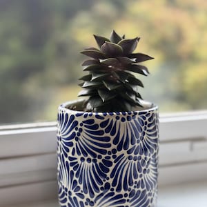 Puede incluir: Una pequeña planta suculenta en una maceta cilíndrica de cerámica. La maceta es blanca con un estampado floral azul. La suculenta tiene hojas verdes oscuras y moradas. La maceta está en un alféizar blanco.