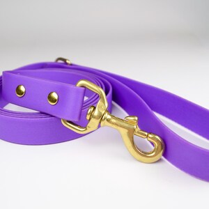 Waterproof Stink-Proof Purple Dog Leash – Durable, Amethyst, Easy Clean, Outdoor Dog Gear
