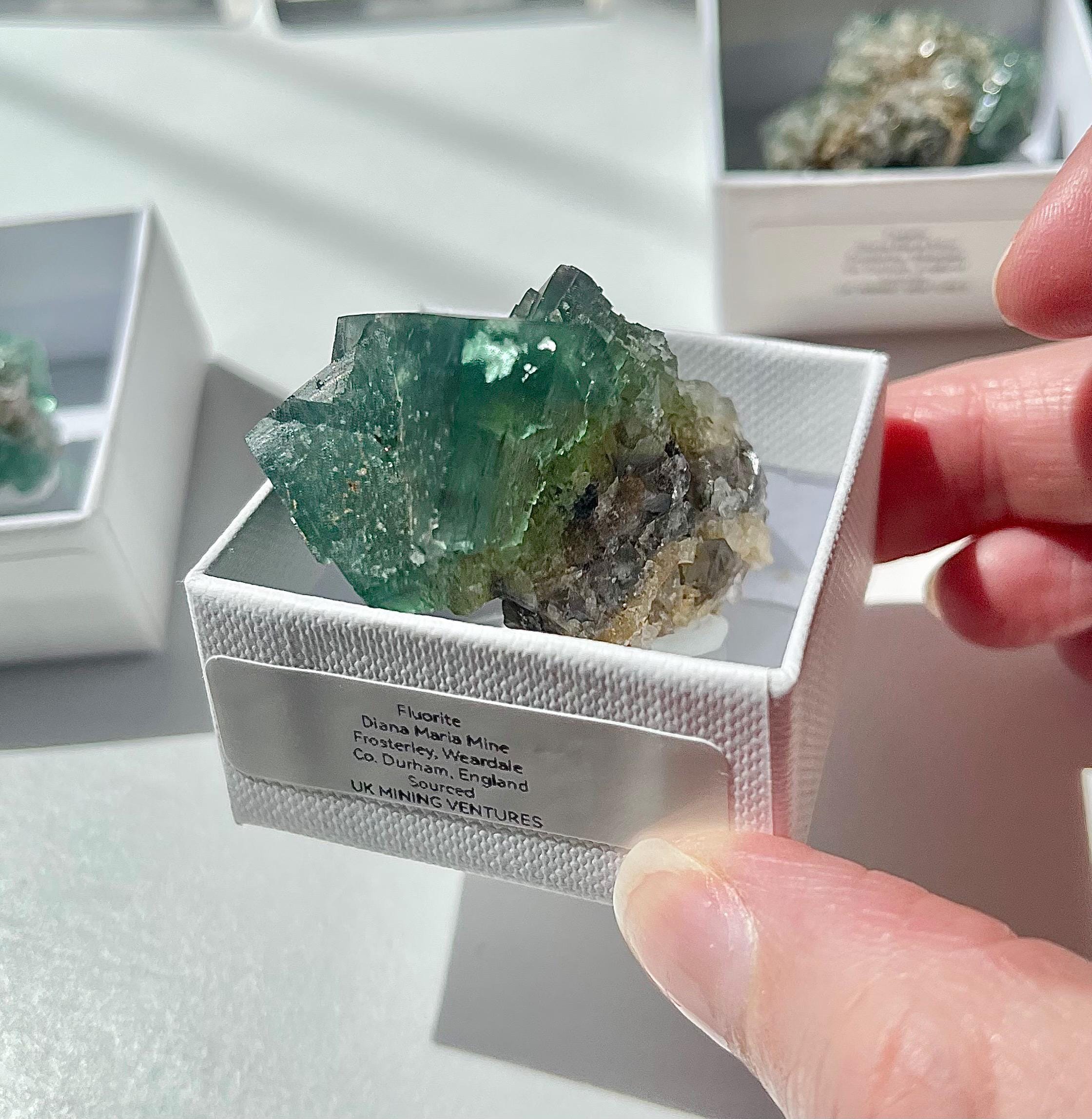 Diana Maria Fluorite - Etsy
