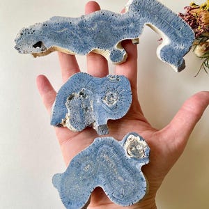 May include: Three irregularly shaped, blue-grey stone specimens with intricate patterns are displayed. The stones have a rough, textured surface and a natural, organic appearance. The specimens are held in a hand.
