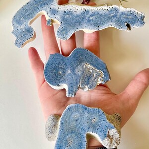 May include: Three irregularly shaped, blue and white coral pieces are displayed in an open hand. The coral has a porous texture and a light blue hue, with white and beige accents. The pieces vary in size and shape, showcasing natural formations.