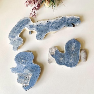 May include: Three pieces of coral in shades of blue and white. The coral pieces have a textured surface and organic shapes. The top piece is long and curved, while the other two are smaller and more rounded. Decorative items.