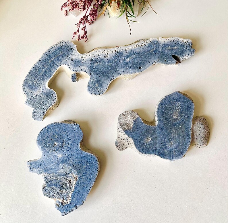 May include: Three pieces of coral in shades of blue and white. The coral pieces have a textured surface and organic shapes. The top piece is long and curved, while the other two are smaller and more rounded. Decorative items.