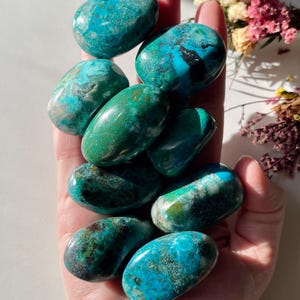 May include: A collection of polished chrysocolla stones in shades of teal and green. The stones are oval-shaped and held in a hand, with a few dried flowers in the background. The stones have a mottled appearance with varying shades of blue and green.