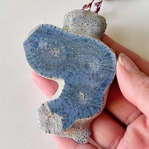 May include: A piece of natural coral with a striking blue hue, showcasing intricate patterns and textures. The coral is held in a hand, with a white background and dried flowers in the background. The coral is approximately 4 inches long.