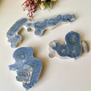 May include: Three pieces of blue coral, each with a unique shape and texture, are displayed on a white surface. The coral has a porous structure and a light blue hue, with some areas of white. Dried flowers are in the background.