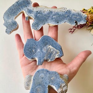 May include: Three pieces of blue coral are shown. The coral has a porous texture and a light blue colour. The pieces are held in a hand, showcasing their unique shapes and natural beauty. The coral is a decorative item.