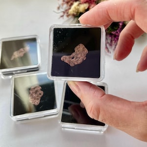 May include: A small, irregular, metallic copper-coloured nugget displayed inside a square, clear plastic case with a black interior lining. The nugget has a textured, pitted surface and is held in a transparent box, showcasing its raw, natural form.