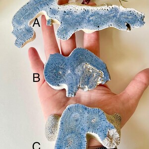 May include: Three pieces of blue and white coral are displayed. The coral pieces have a porous texture and irregular shapes. The coral is held in a hand against a white background. Dried flowers are in the background.