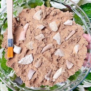 May include: A glass pie plate filled with brown sand and various small white and light brown fossils. A wooden paintbrush is placed on the left side of the plate.