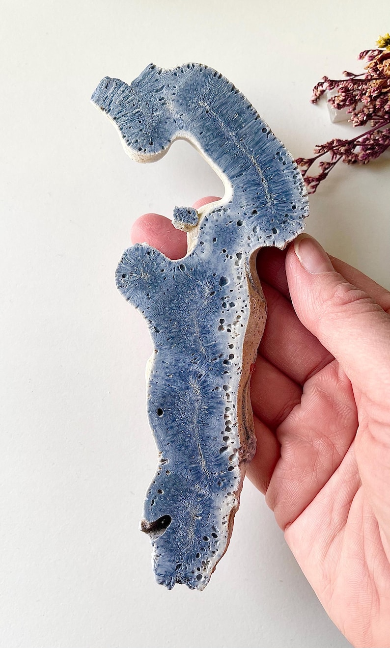 May include: A blue and beige ceramic sculpture with a unique, organic shape. The sculpture has a textured surface with a porous appearance and is held by a hand. The blue color is concentrated in the center, with beige edges.