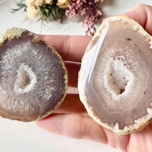 May include: Two polished agate slices, each with a unique pattern of concentric rings. The outer edges are a light tan, transitioning to a pale purple and white centre. The geode-like formations are held in a hand.