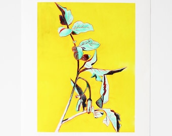 Professional quality 25 × 20 cm color print, limited edition, scan of a tomato leaf drawing - Lycopersicon