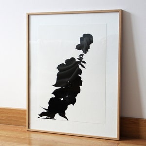 40 30 cm black and white print of a flower silhouette in India ink, scan of a hand drawn drawing Shadow I image 1