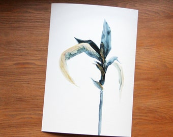 40 × 30 cm colour print, limited edition, scan of an experimental acrylic watercolour plant drawing - Chlorophytum lecardus