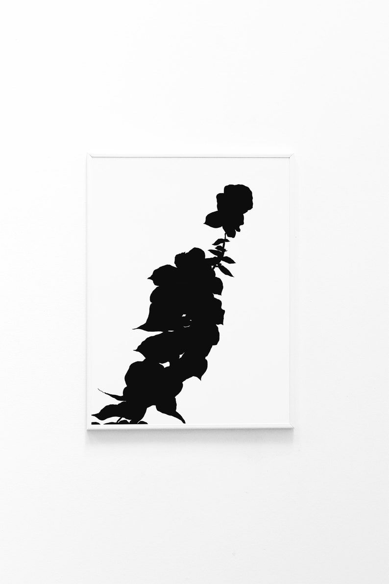 May include: A framed black and white art print featuring a stylized silhouette of a flowering plant. The artwork showcases a vertical arrangement of leaves and blooms against a white background, creating a minimalist aesthetic.