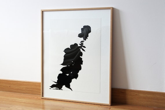 Impression noir et blanc 40 × 30 cm d'une silhouette de fleur à l'encre de Chine, numérisation d’un dessin réalisé à main - Ombre I