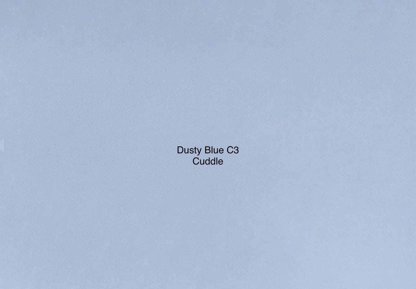 Dusty Blue Smooth Cuddle 3 Minky from Shannon Fabrics