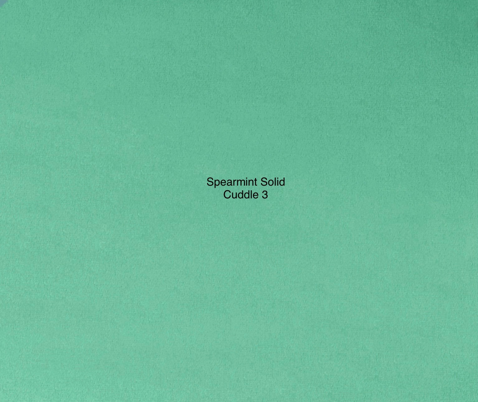 Spearmint Corded Lace Shannon